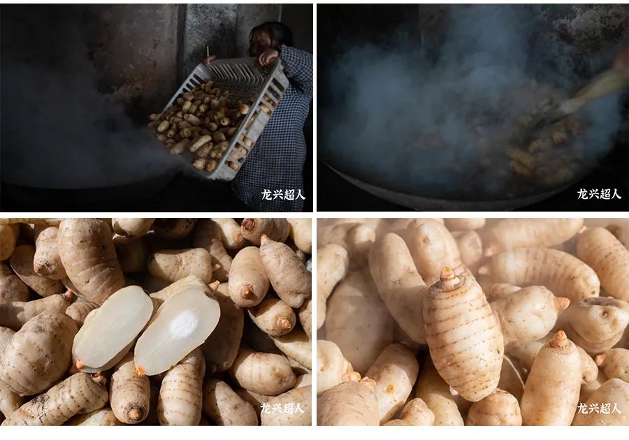 贵州的道地药材天麻,天麻属于哪里的道地药材