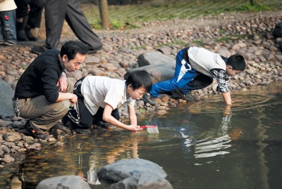 蜻蜓谚语大全,关于蜻蜓预报天气的谚语