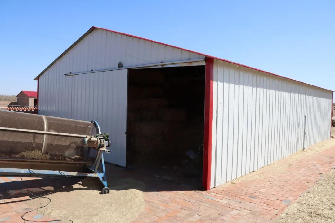 【同心奔小康】小八仙筒村：牛人·牛事·牛日子