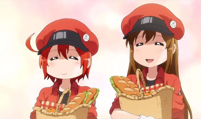 一篇文章教你读懂体检表上的血常规，超实用的血液常识来啦