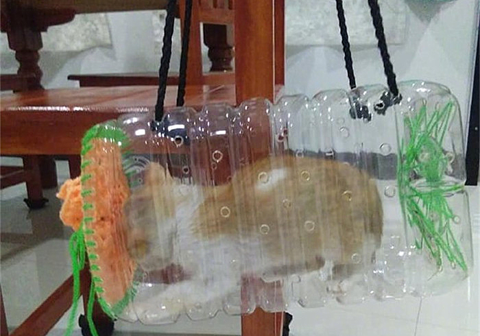 橘猫都逃不过的真香定律：铲屎官自制猫包，让猫咪爱上出门的感觉