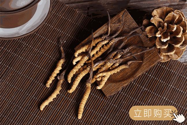 冬虫夏草与别的药物有冲突吗,冬虫夏草跟虫有什么瓜葛