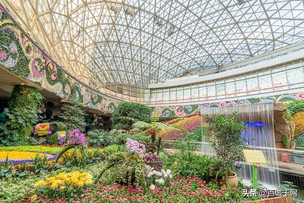 后疫情时代启航,后疫情时代顽强拼搏