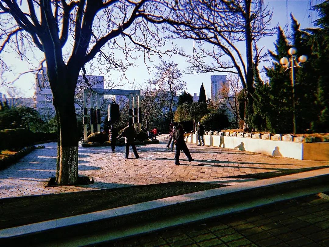 辽宁师范大学辽宁省一流课程,辽宁省普通高等院校