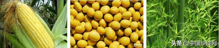 鏈嶈闈㈡枡鍩虹鐭ヨ瘑妫夋枡,鏈嶈璁捐甯堝浣曟壘闈㈡枡