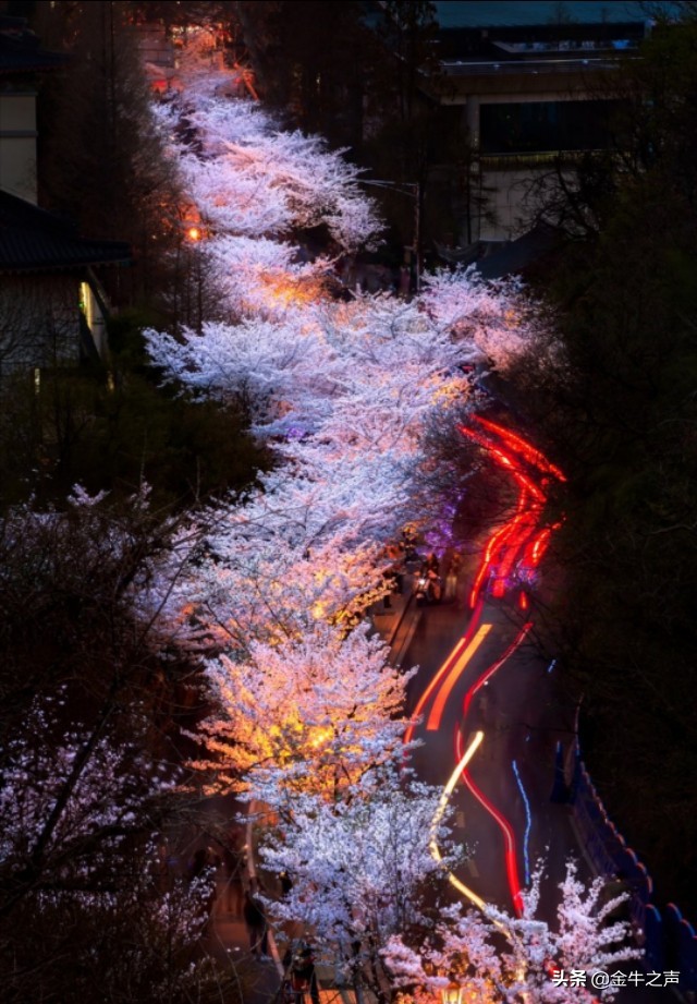 勿以身贵而贱人指什么,勿以身贵而贱人解释