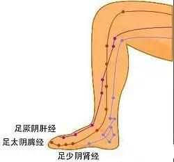 塑形背部按摩手法,塑形按摩手法视频教程