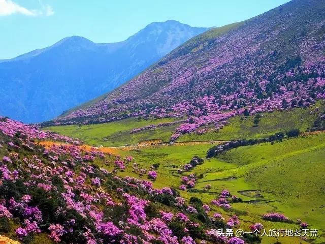 海螺沟温泉瑶池和贡嘎神汤哪家好,海螺沟天域瑶池温泉最新
