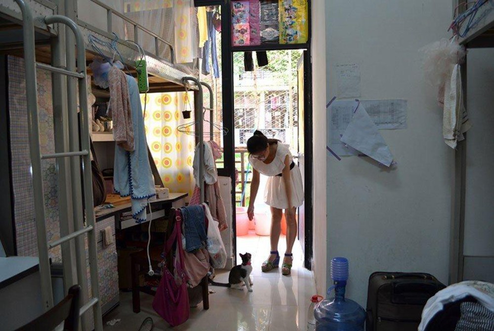 大学遇到性格不合的室友,大学遇到坏舍友