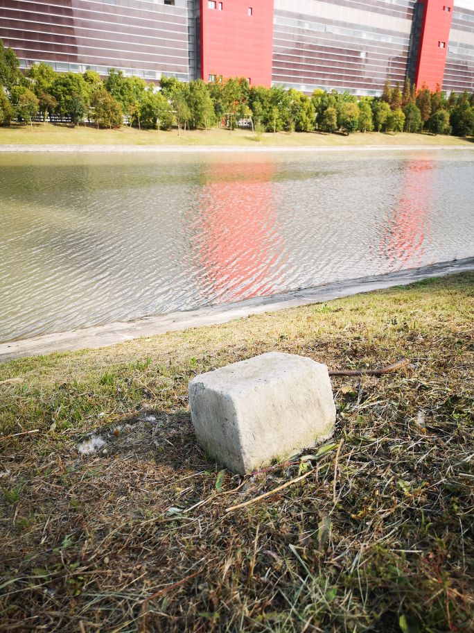 市民捡到野生鸟怎么处理,捡到野生动物怎么办