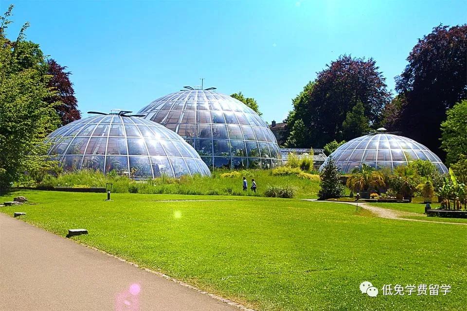 瑞士名校苏黎世大学,瑞士名校