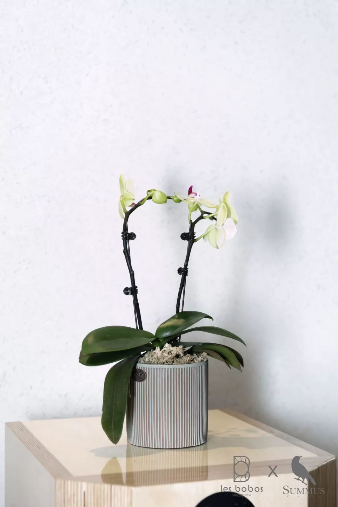 年末重磅|高端珠宝沙龙：如何收藏与投资您的第一颗顶级珠宝