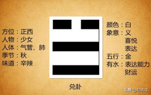 八卦的爻怎么分上下,八卦中各爻如何判别方向