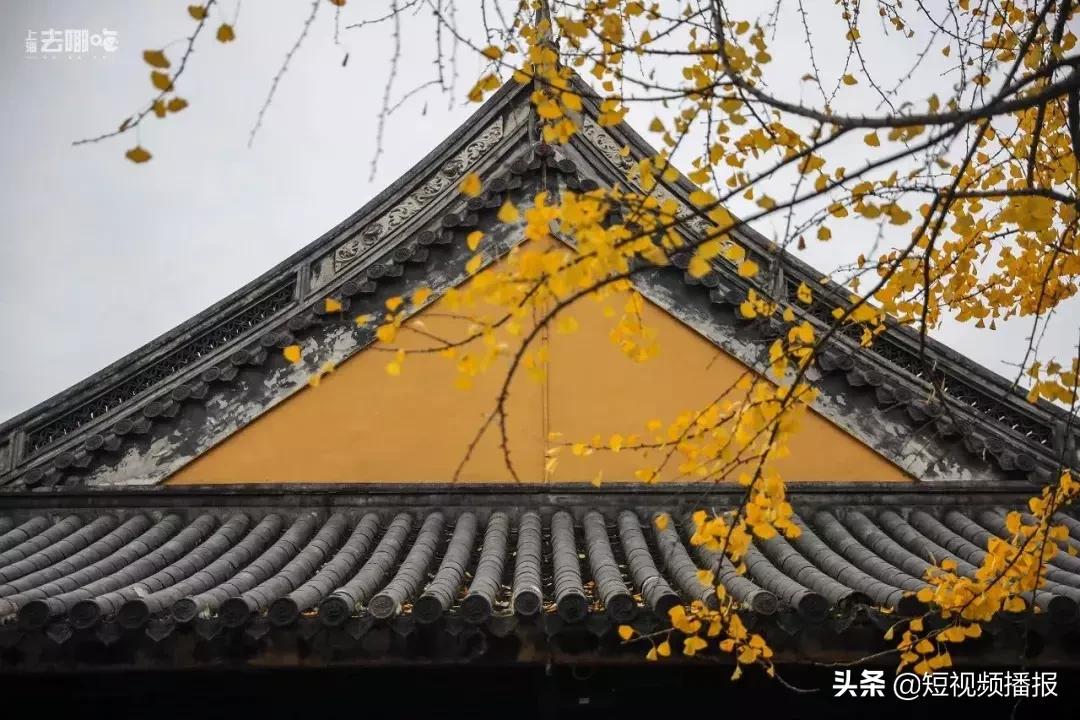 要不要离开上海,为什么很多年轻人不愿离开上海