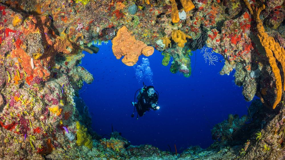 泰国四大潜水梦幻海岛,潜水游玩爱好者普吉岛