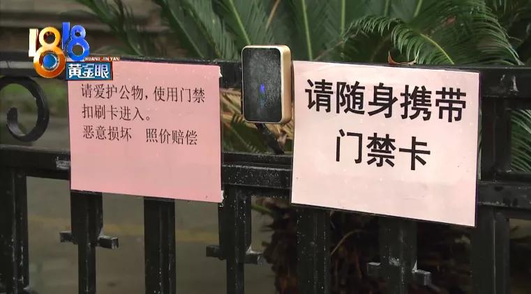 大姐骑自行车撞骨折,大姐骑电动车摔在沟里