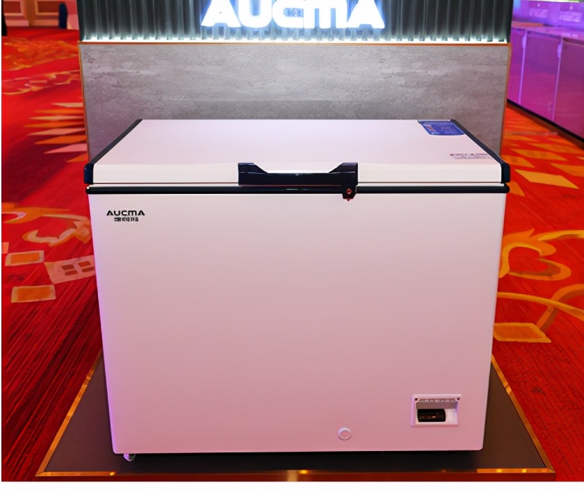 澳柯玛冰柜商用大容量,澳柯玛冰柜206g哪一款更适合家用