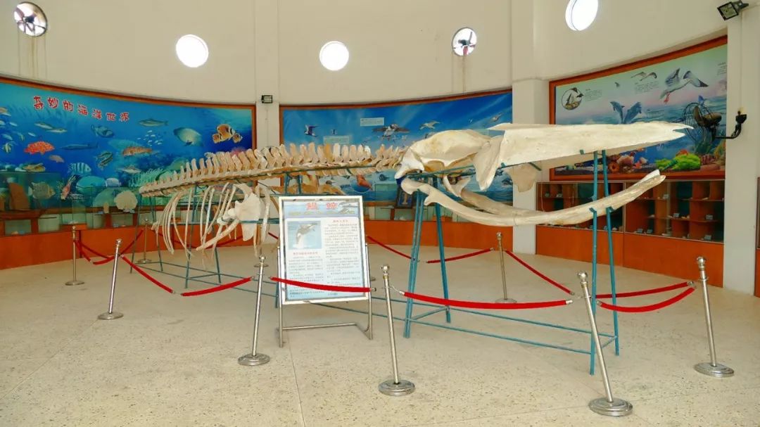 最美的最原始的渔村,最美渔村图片