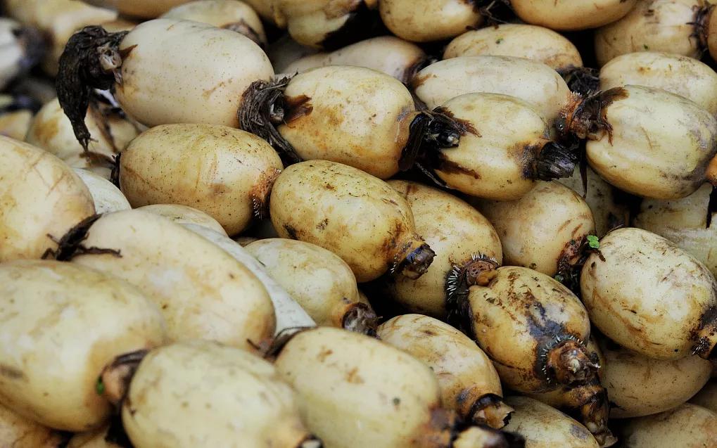 好好吃饭|蔬菜天然擅“通利”，是古人的“排浊”神器