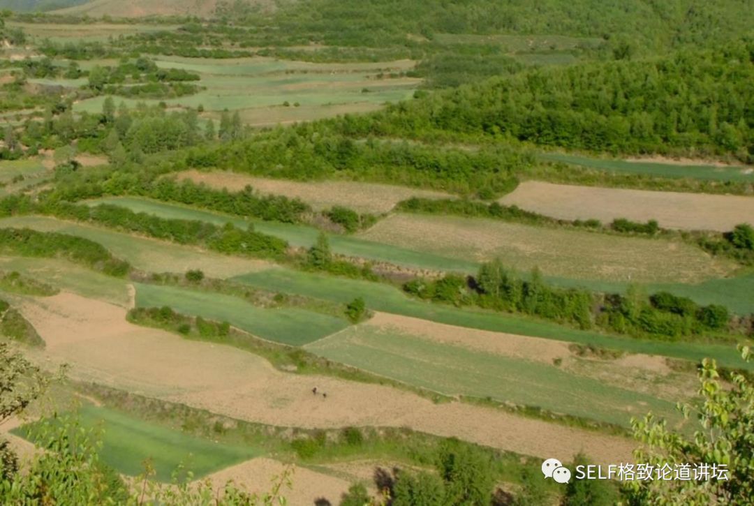 科学家如何观察植物,鸟类的研究方法