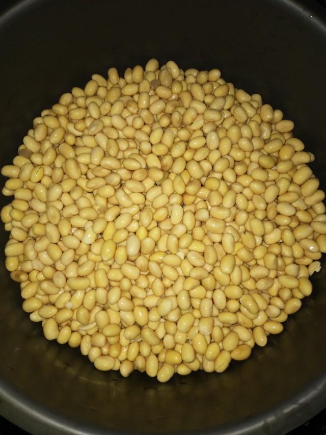 在山东、河南两地，当西瓜遇见黄豆，感觉妙不可言！