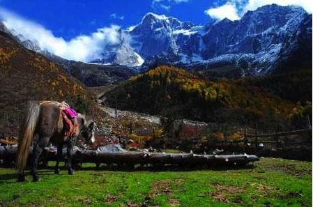 成都到九寨沟四姑娘山稻城亚丁,成都到甘孜色达九寨沟旅游攻略