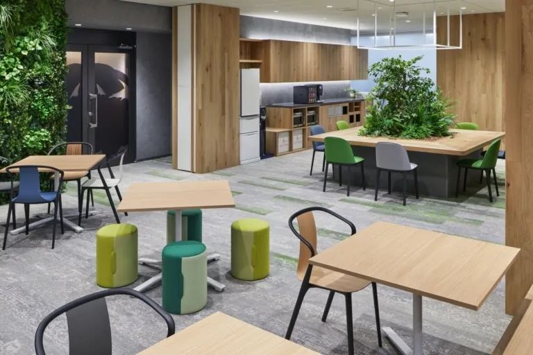 剑盾上市,剑盾全新