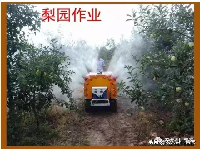 果园用药误区都有哪些,果园用药存在的问题及建议