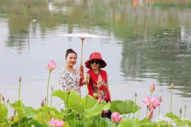 西乡周边景色美的地方,西乡哪里有夜景好看的