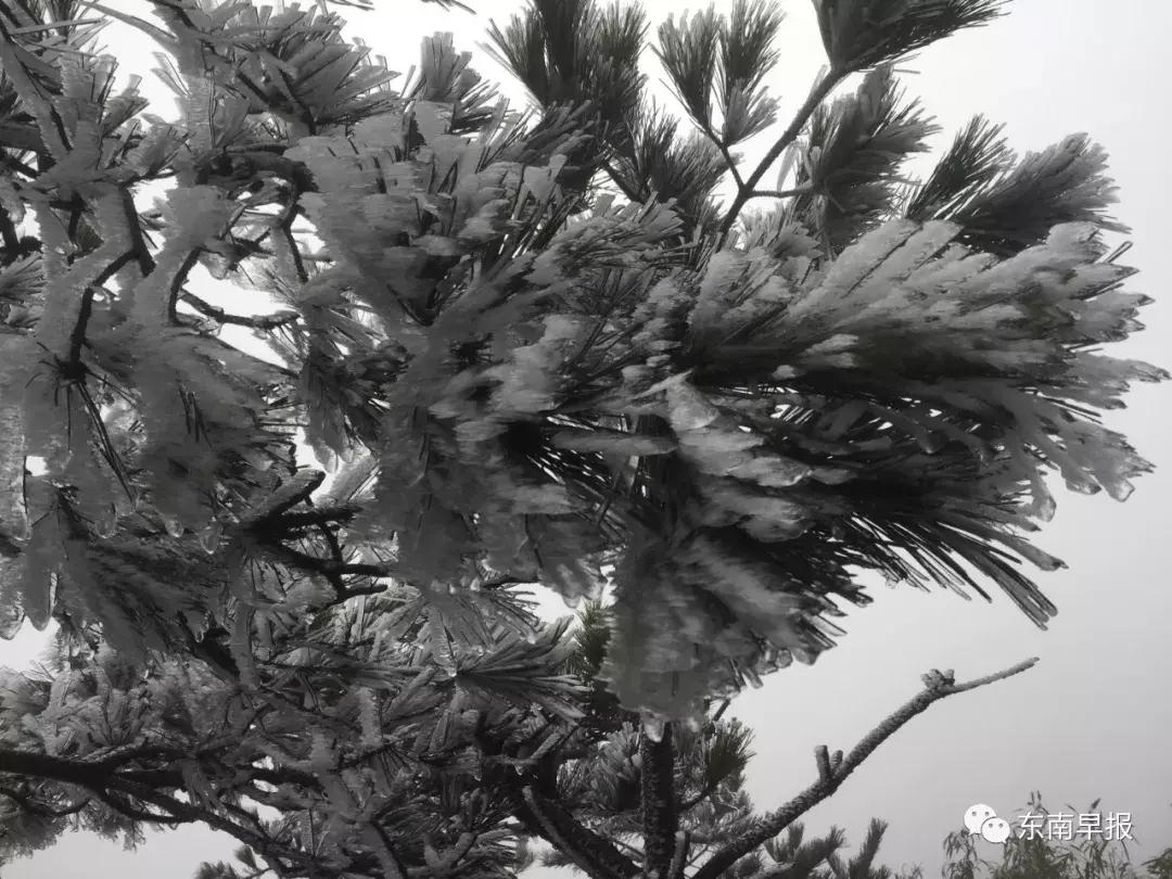 泉州九仙山下雪风景,泉州九仙山再现云海