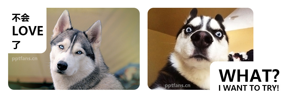 ppt100个常用技巧教程,ppt高效操作技巧