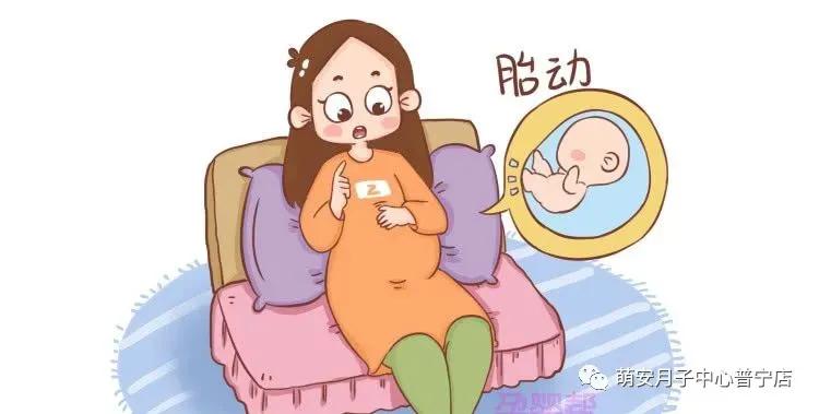 孕期小知识最新更新,孕期小知识视频