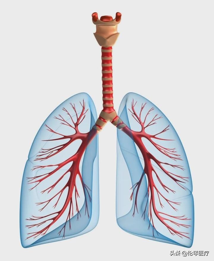 2022年恶性肿瘤筛查与预防指南,常见恶性肿瘤的预防和筛检