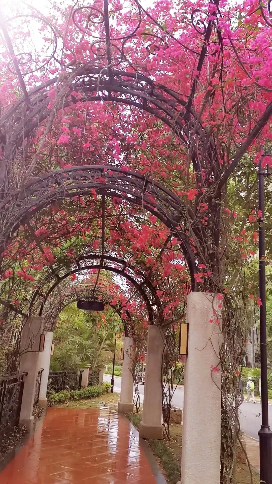 濮戝珎鏃呰璁板綍,濮戝珎鏃呰鏃ヨ