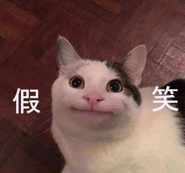 猫的100种奇特行为,猫咪的笑是怎么弄出来的