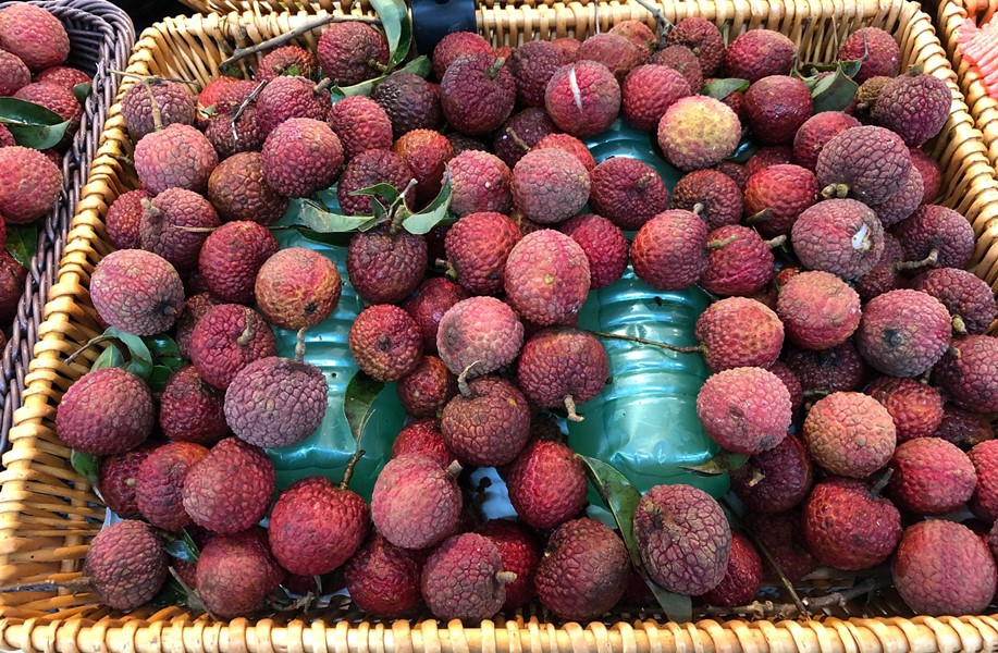 三伏天碱性水果正当季有哪些,三伏天来临这3种水果最好