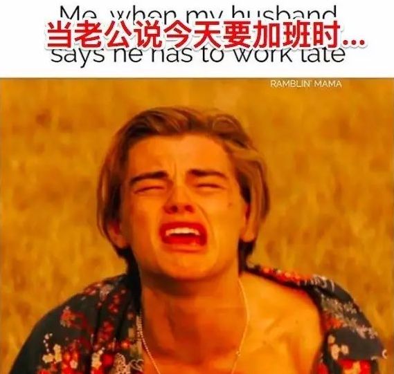 万万没想到,我从外国朋友那里收藏的神梗图,竟成为圈粉利器