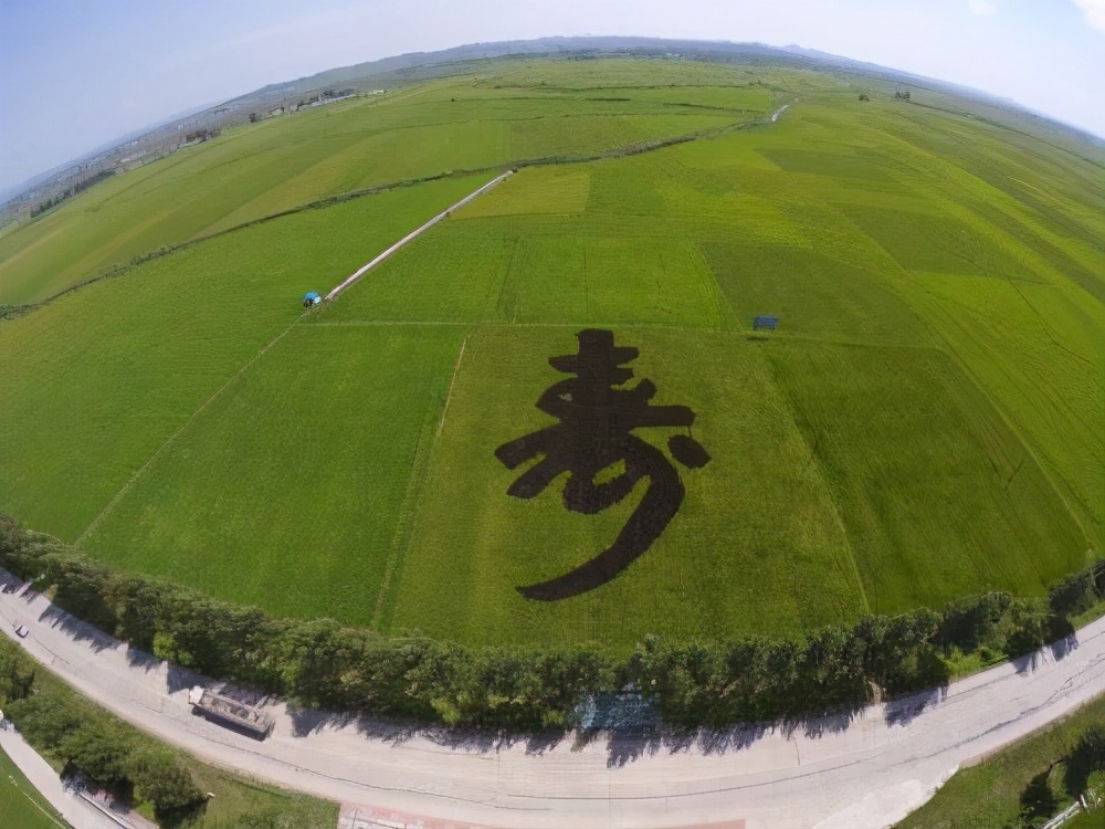 延寿县致富,延寿县扶贫