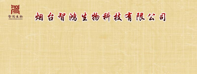 夏季养生吃什么药材好,养生药膳灵芝