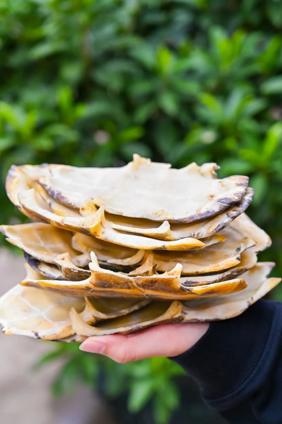 纯手工制作美食甜品,网红甜品推荐前十名制作方法