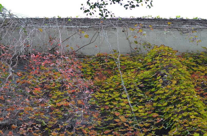 常州运河五号创意街区要门票吗,常州运河五号游玩攻略