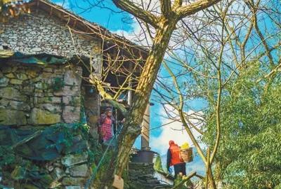 人民日报各种新闻报道,人民日报评论中央4台