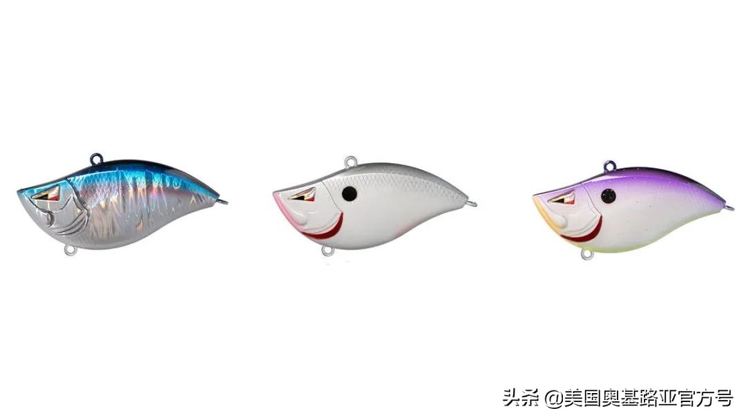 2024全国渔具展会一览表最新,2022年全国渔具展在哪