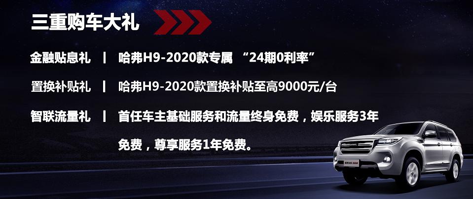 哈弗h9和路虎发现运动怎么选,哈弗h9与路虎发现运动怎么选
