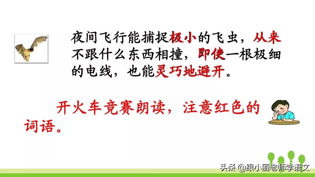 语文思维导图四年级上蝙蝠和雷达,人教版四年级上册蝙蝠和雷达朗读