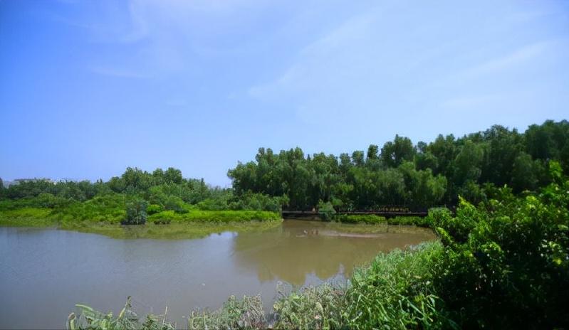 广西景点推荐北海,广西合浦十大景点排名