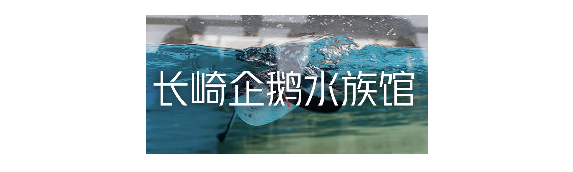 日本九州|一个被温泉唤醒的秘境，超超超小众的日本旅行目的地
