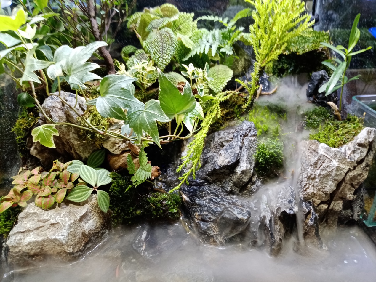 百元荣耀最高性价比手机,全屏幕手机百元