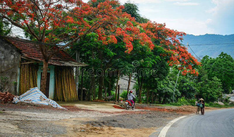 广东梅州城市介绍,梅州哪个县经济最发达