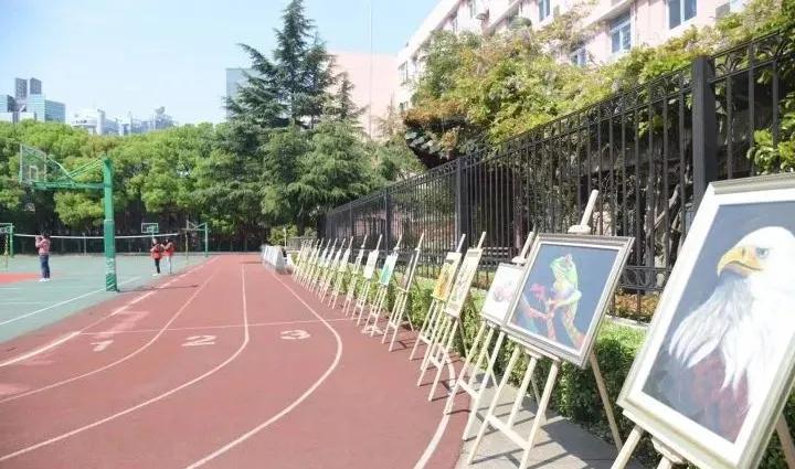 上海小升初民办学校摇号,民办摇号上海